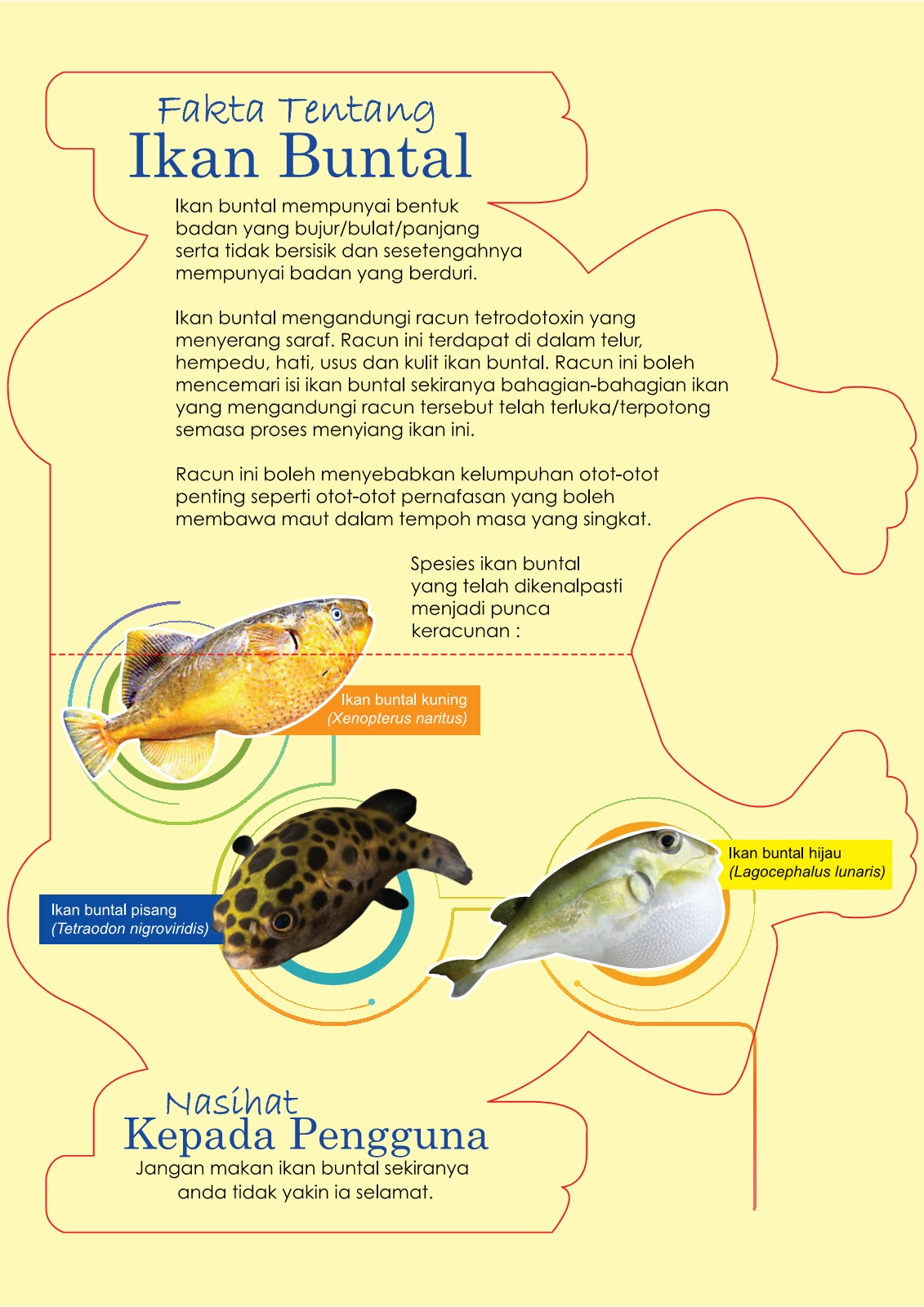 Detail Gambar Ikan Bunta Lkuning Nomer 48