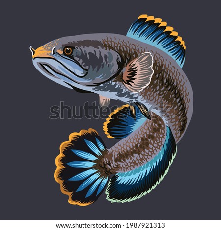 Gambar Ikan Channa Kartun - KibrisPDR