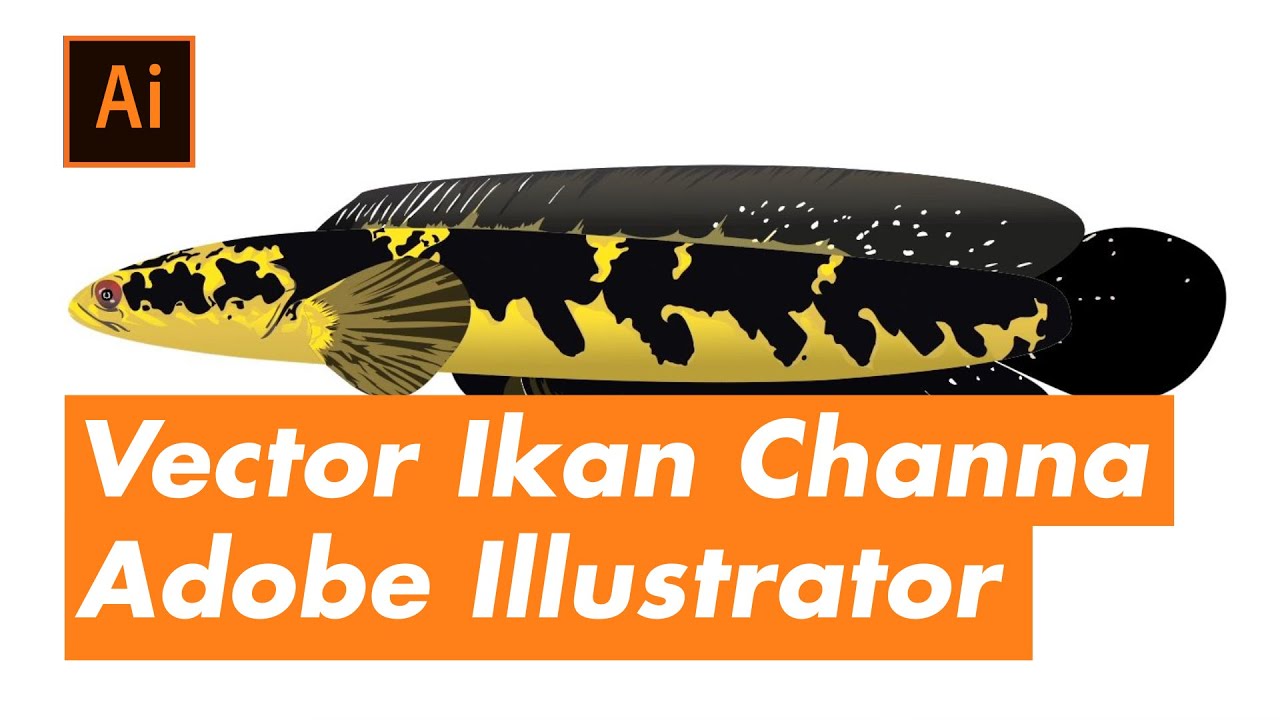 Detail Gambar Ikan Channa Kartun Nomer 35