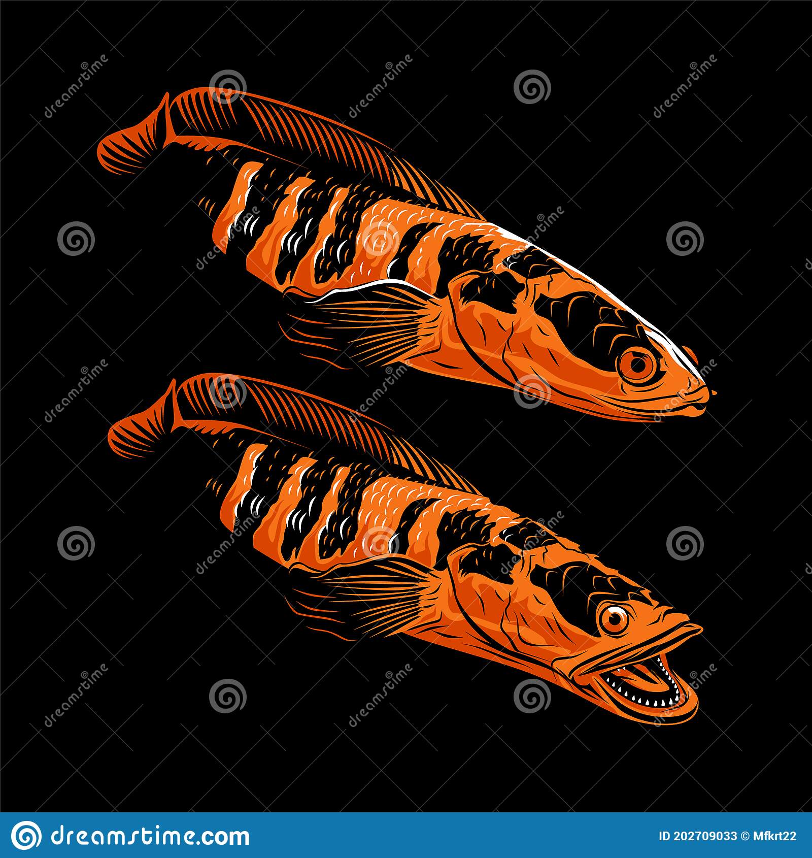 Detail Gambar Ikan Channa Kartun Nomer 5