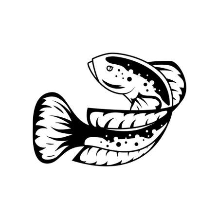 Detail Gambar Ikan Channa Kartun Nomer 44