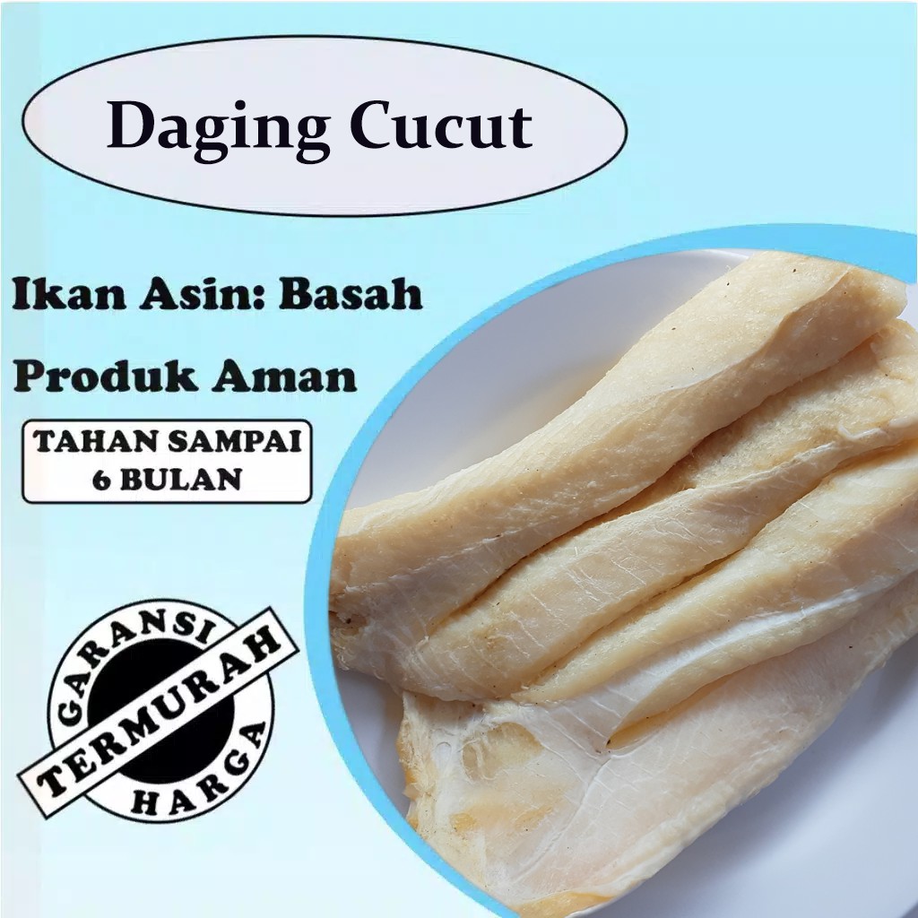 Detail Gambar Ikan Cucut Nomer 57