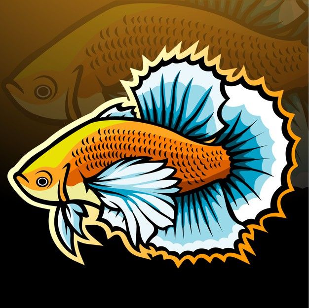 Detail Gambar Ikan Cupang Kartun Keren Nomer 11