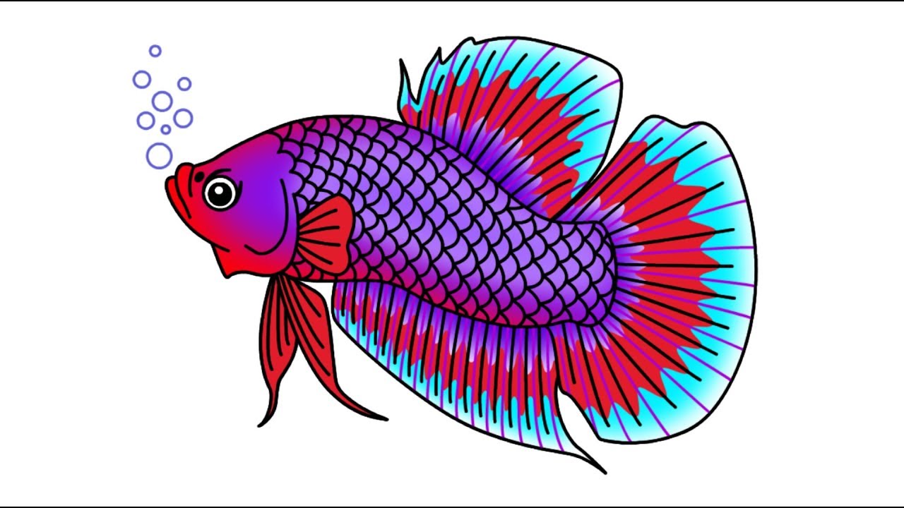 Detail Gambar Ikan Cupang Kartun Keren Nomer 16