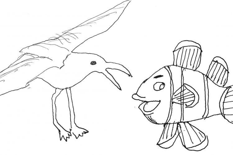 Detail Gambar Ikan Dan Burung Nomer 18