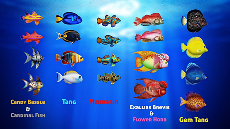 Detail Gambar Ikan Dan Namanya Nomer 12