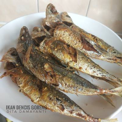 Detail Gambar Ikan Dencis Nomer 8