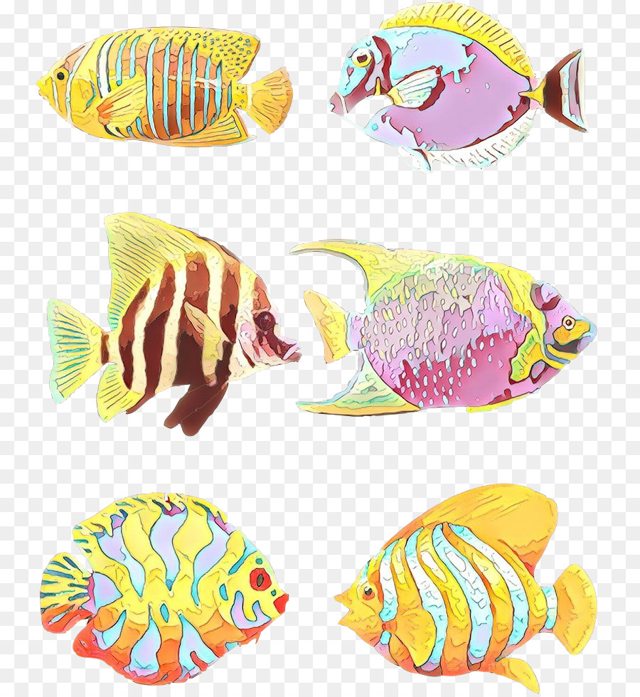 Detail Gambar Ikan Dengan Angka Nomer 19