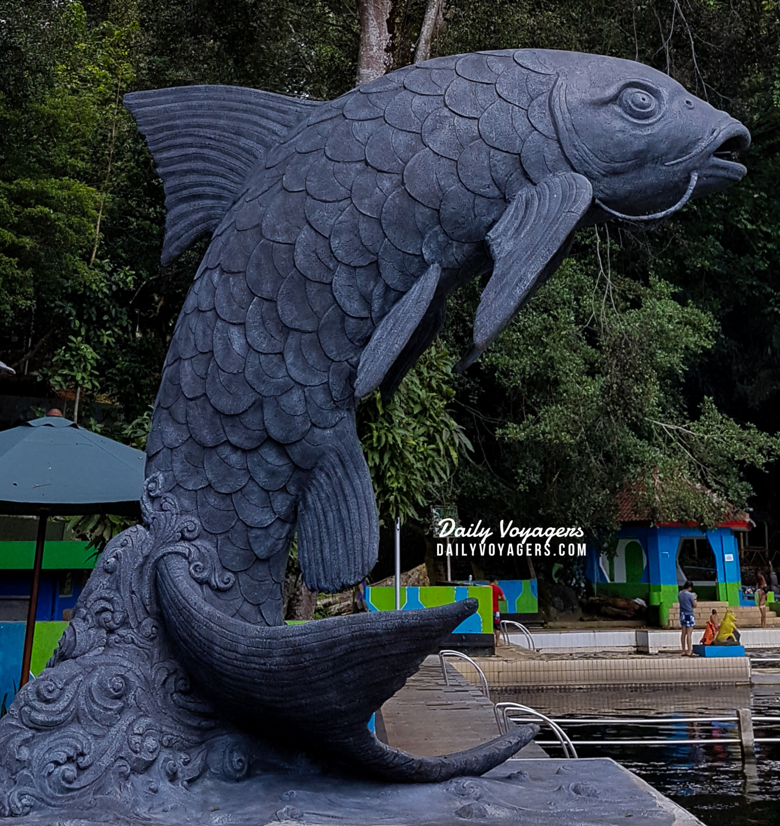 Detail Gambar Ikan Dewa Nomer 13