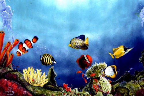 Detail Gambar Ikan Di Dalam Laut Nomer 55