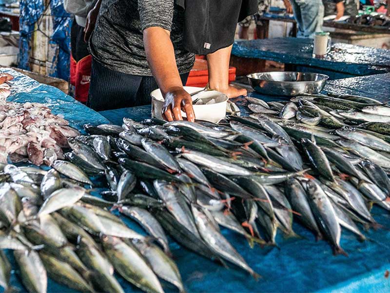 Detail Gambar Ikan Di Pasar Nomer 13