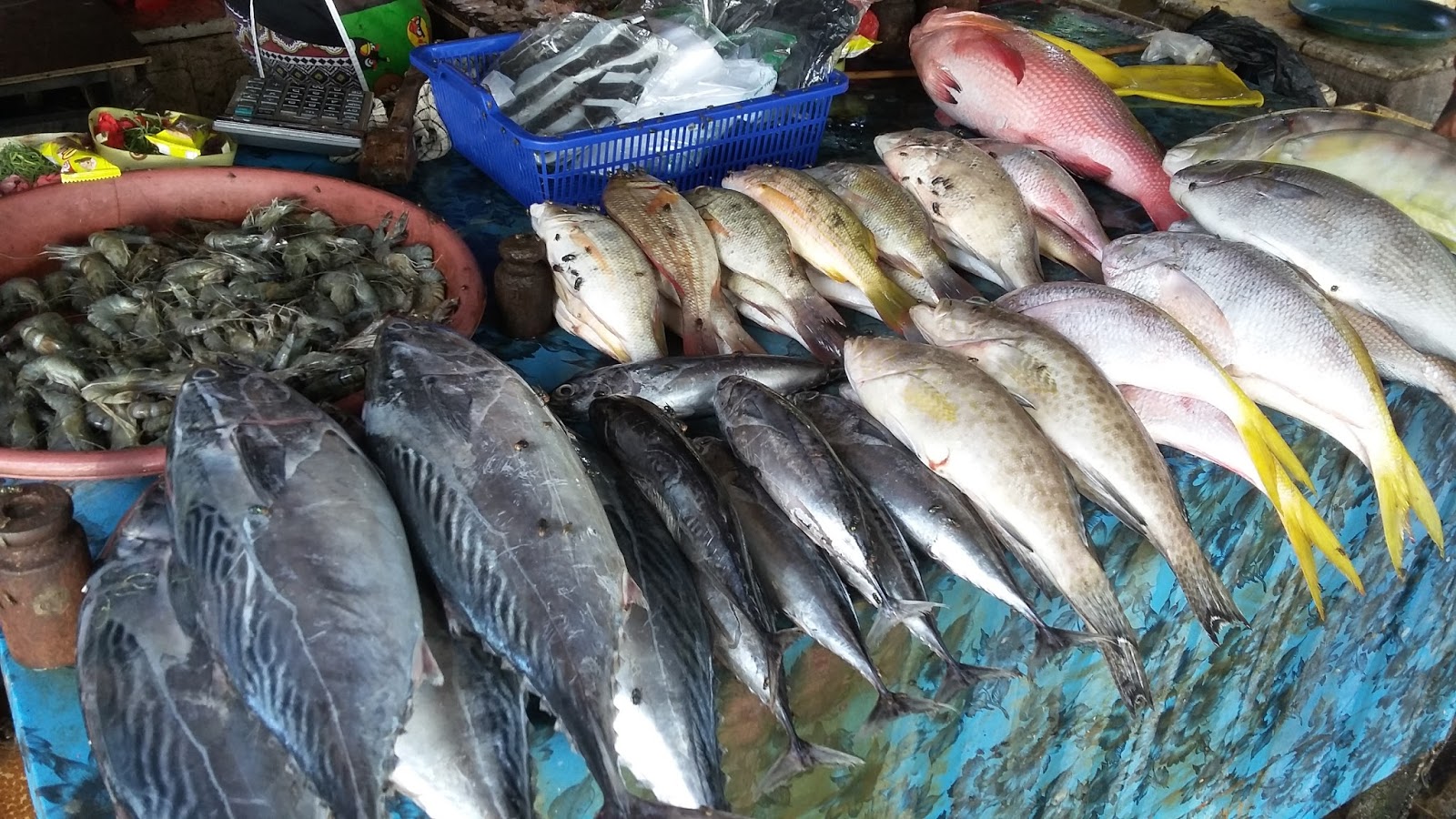 Detail Gambar Ikan Di Pasar Nomer 15