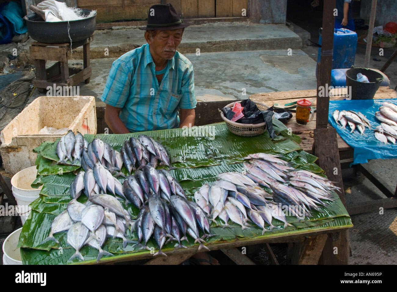 Detail Gambar Ikan Di Pasar Nomer 16