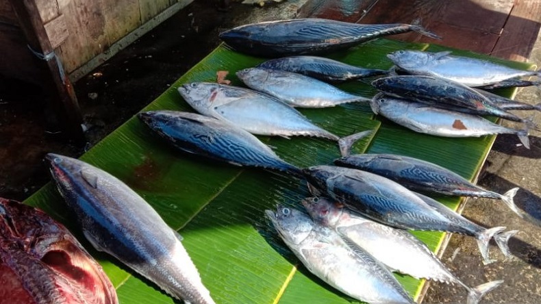 Detail Gambar Ikan Di Pasar Nomer 21