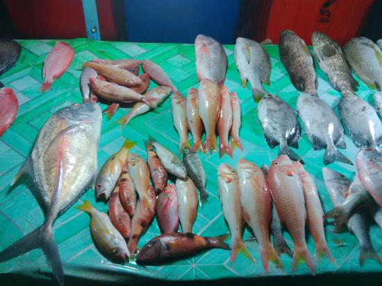 Detail Gambar Ikan Di Pasar Nomer 35