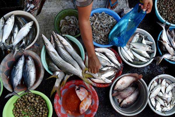 Detail Gambar Ikan Di Pasar Nomer 37