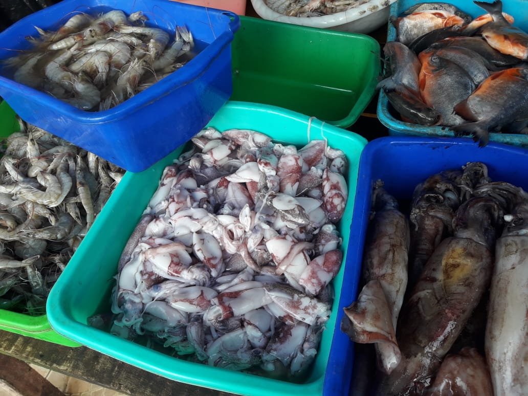 Detail Gambar Ikan Di Pasar Nomer 39