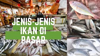 Detail Gambar Ikan Di Pasar Nomer 41