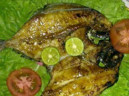 Detail Gambar Ikan Dorang Nomer 18