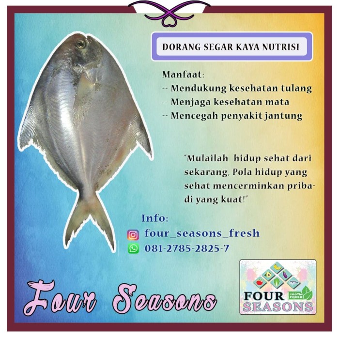 Detail Gambar Ikan Dorang Nomer 38