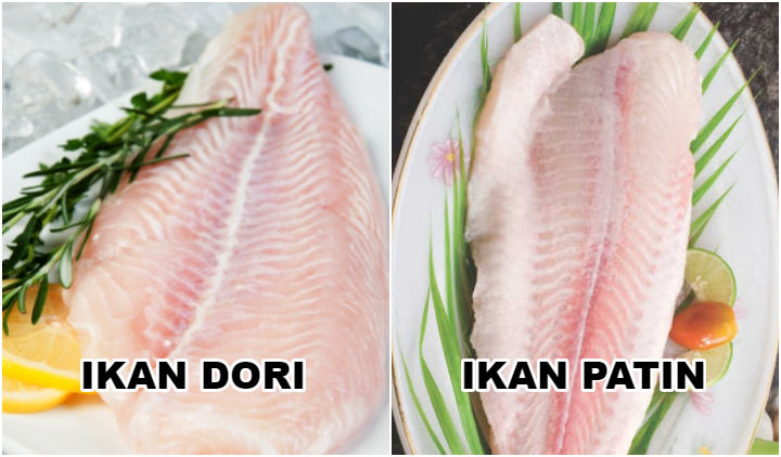 Detail Gambar Ikan Dori Fillet Nomer 4