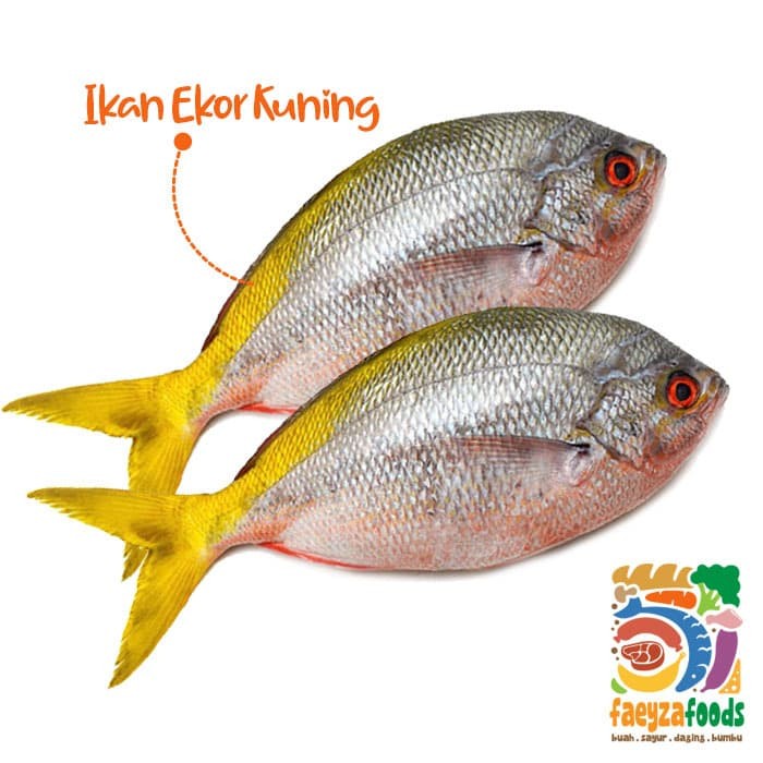 Detail Gambar Ikan Ekor Kuning Nomer 21