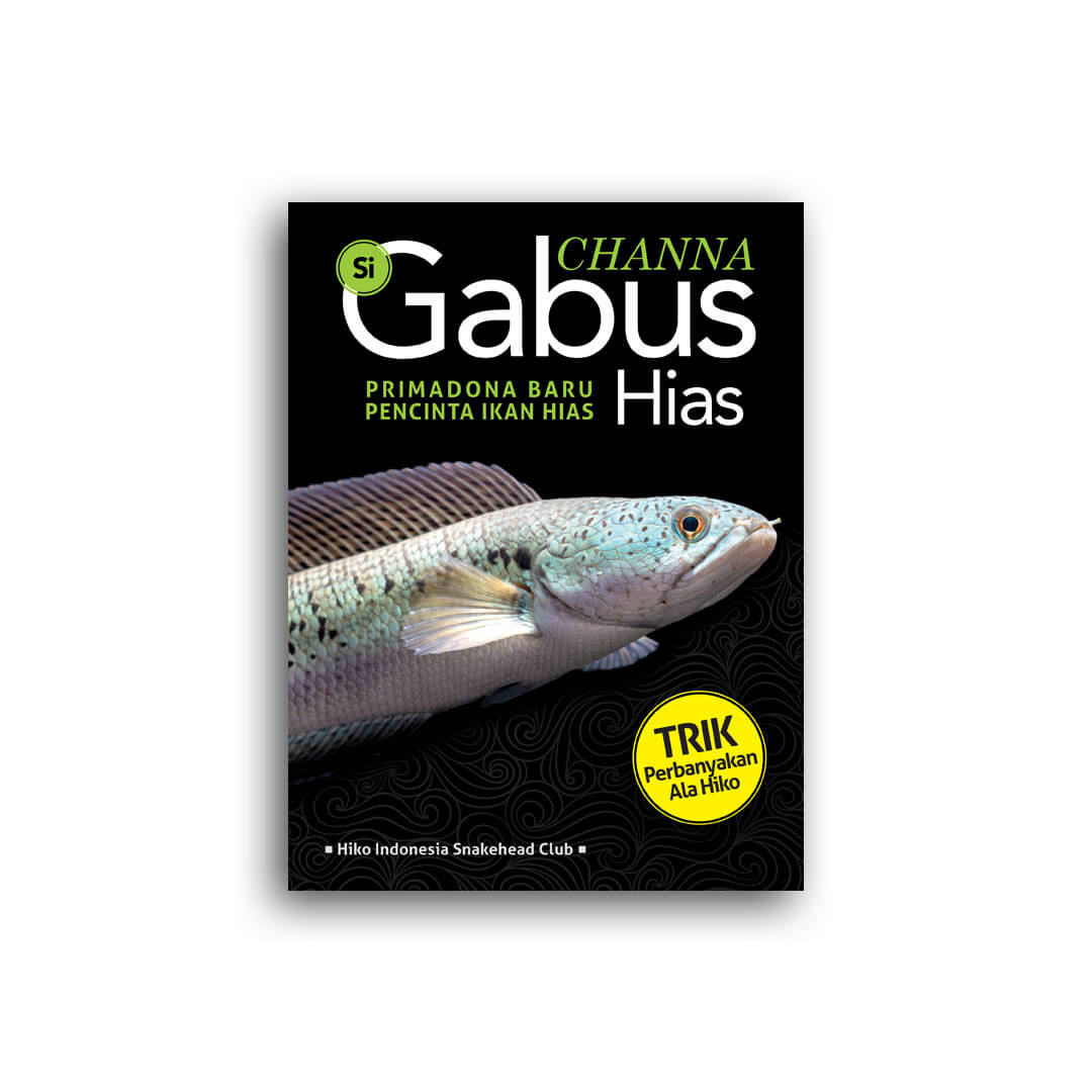 Detail Gambar Ikan Gabus Hias Nomer 42