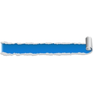 Detail Roll Up Vorlage Powerpoint Nomer 4