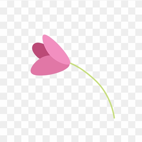 Detail Transparent Pink Flowers Nomer 18