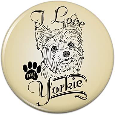 Detail Yorkshire Terrier 1 Jahr Alt Nomer 2