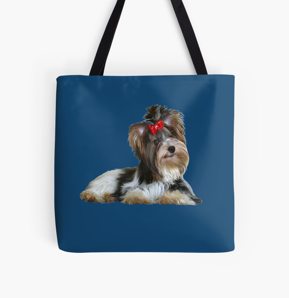 Detail Yorkshire Terrier 1 Jahr Alt Nomer 23