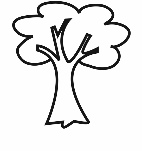Baum Zeichnen Kinder - KibrisPDR