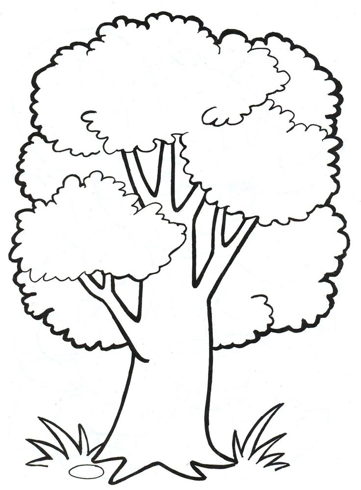 Detail Baum Zeichnen Kinder Nomer 3