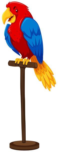 Detail Brasilianischer Papagei Nomer 18