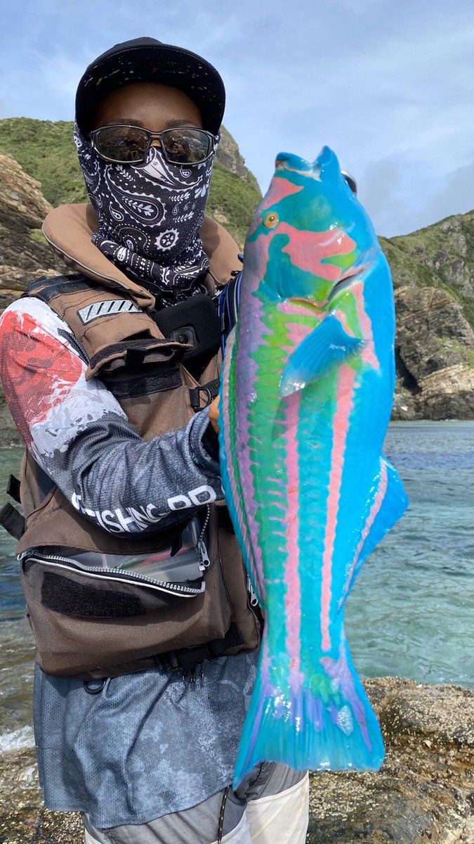 Detail Gambar Ikan Gambar Ikan Warna Biru Nomer 18