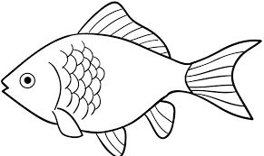 Detail Gambar Ikan Gambar Kartun Nomer 13