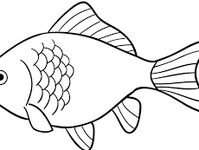 Detail Gambar Ikan Gambar Kartun Nomer 33