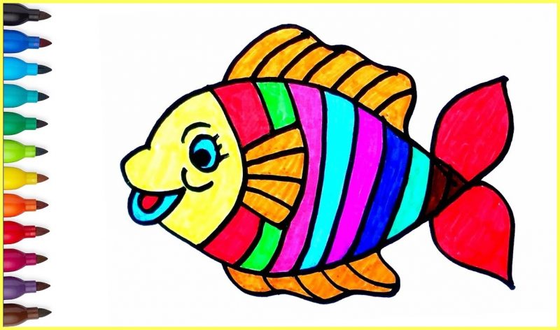 Detail Gambar Ikan Gambar Kartun Nomer 35