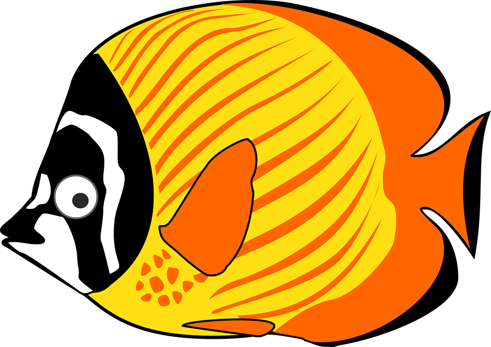 Detail Gambar Ikan Gambar Kartun Nomer 36