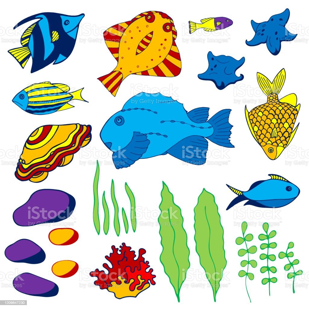 Detail Gambar Ikan Gambar Kerang Laut Kartun Nomer 33