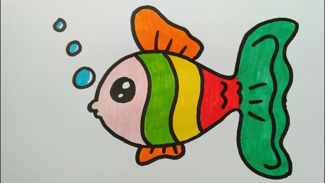 Detail Gambar Ikan Gambar Lucu Nomer 27