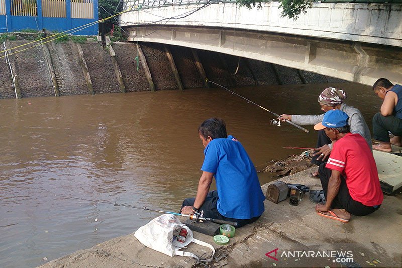 Detail Gambar Ikan Gambar Mancing Ikan Nomer 41