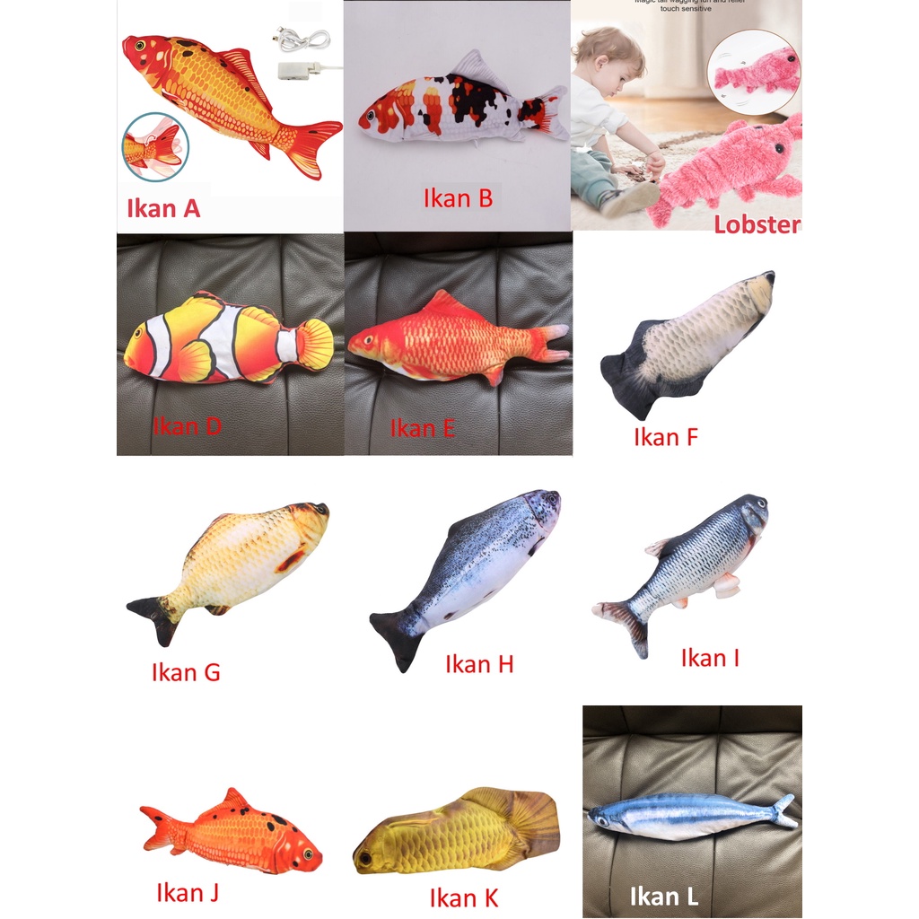 Detail Gambar Ikan Gerak Nomer 24