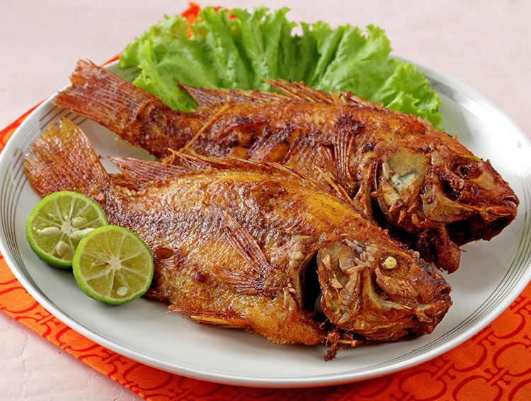 Detail Gambar Ikan Goreng Nomer 40