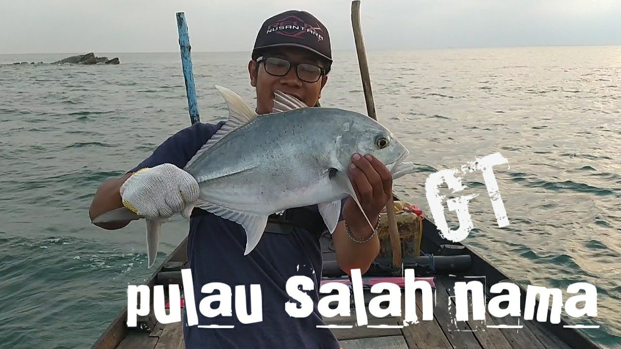 Detail Gambar Ikan Gt Nomer 43