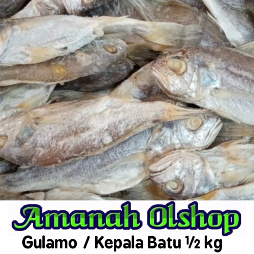 Detail Gambar Ikan Gulama Nomer 16