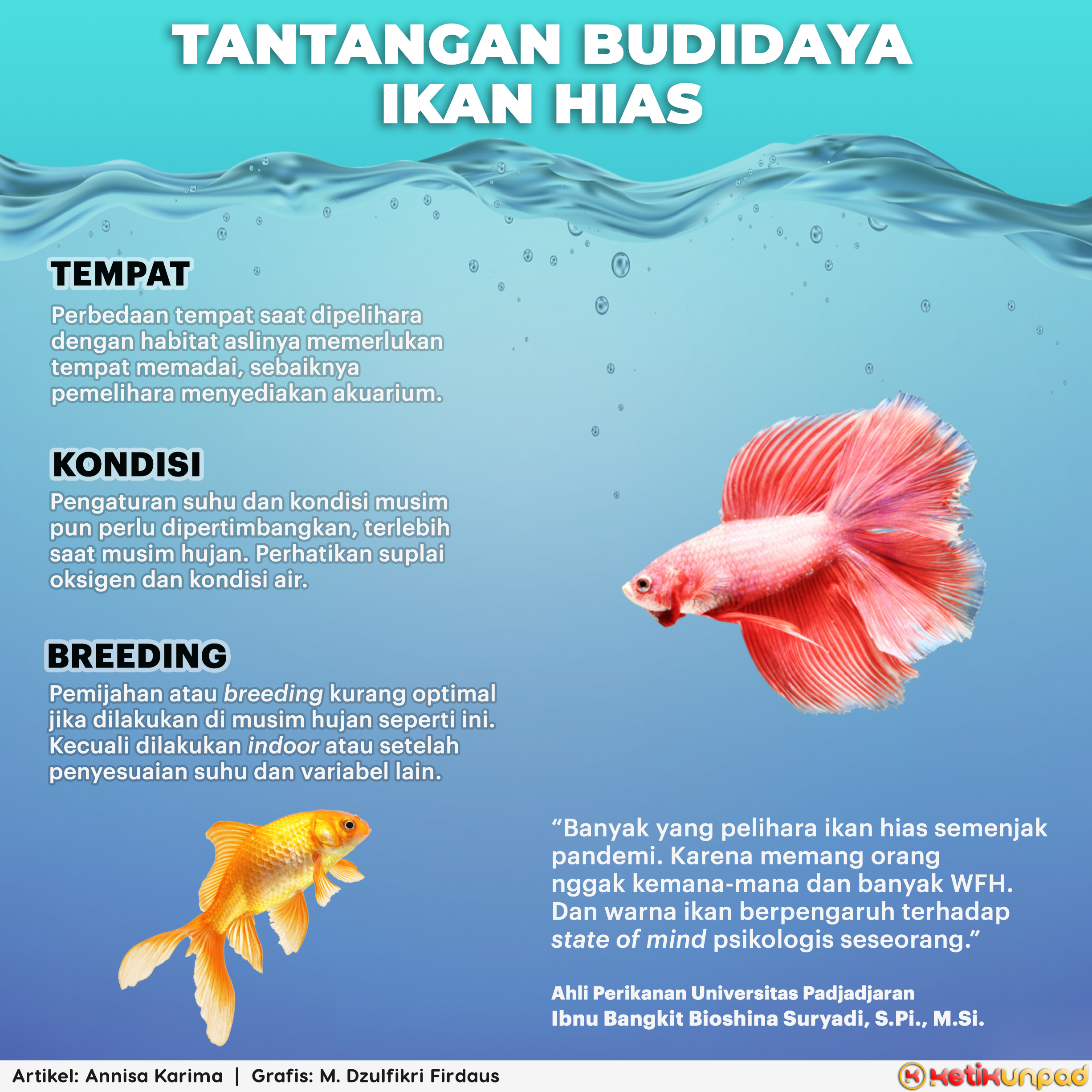 Detail Gambar Ikan Hias Nomer 50