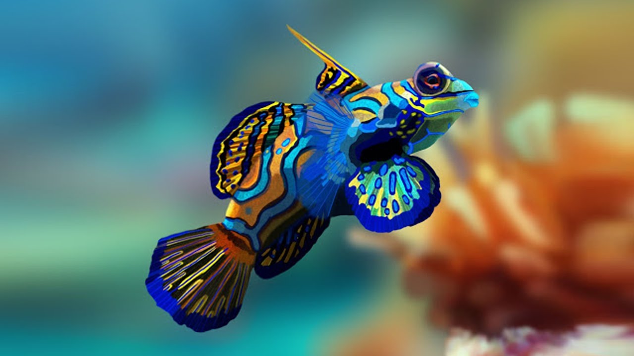 Detail Gambar Ikan Hias Tercantik Nomer 6