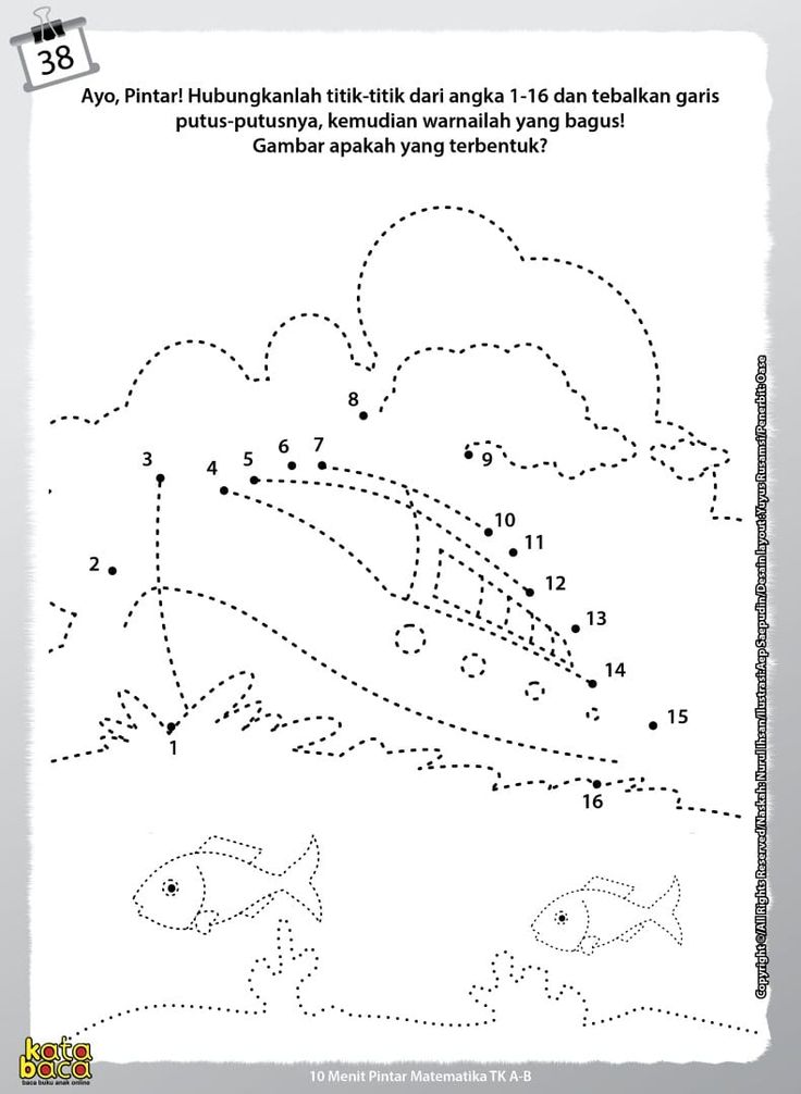 Detail Gambar Ikan Hitam Putih Garis Putus Nomer 45