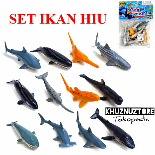 Detail Gambar Ikan Hiu Nomer 15